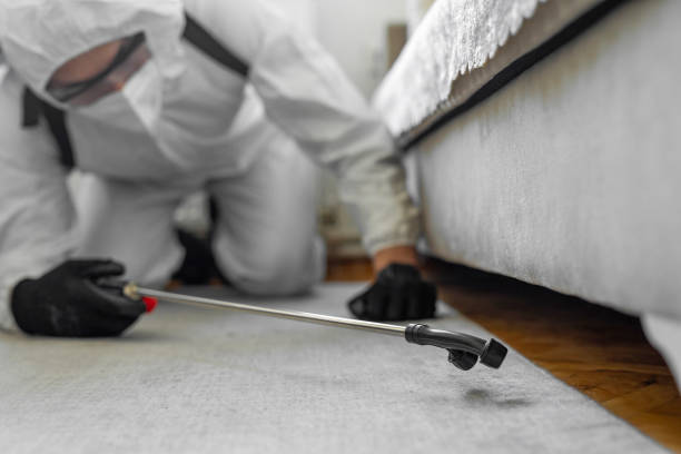 Professional Emergency Pest Control technician working in Hawaiian Acres, HI